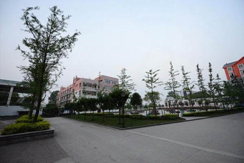 甘肅2023年讀軌道交通學(xué)校熱門專業(yè)有哪些