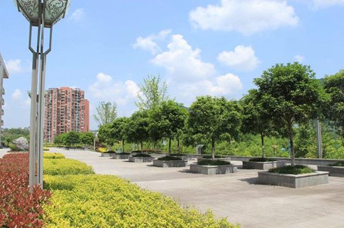 石家莊鐵路職業(yè)技術學院3+2五年制大專招生簡章