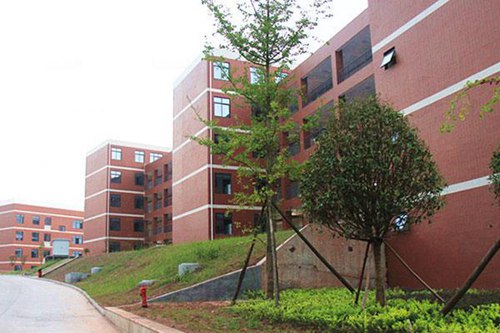 山西國際商務(wù)職業(yè)學(xué)院國際商務(wù)(跨境電商方向)專業(yè)介紹