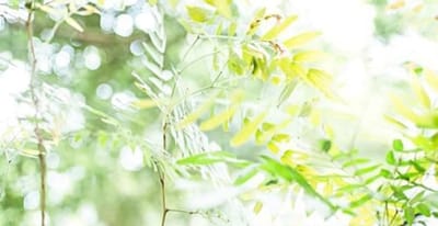 欽州學(xué)院會(huì)計(jì)電算化專業(yè)介紹