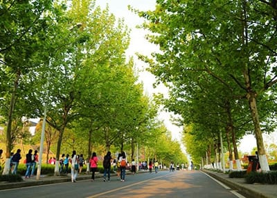 廣西演藝職業(yè)學院報關(guān)與國際貨運專業(yè)介紹
