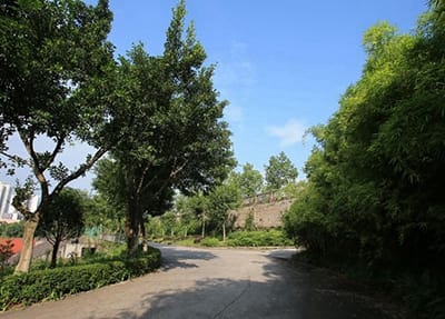 西安市藝術(shù)學校