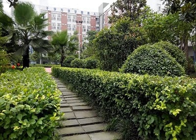 漳州市農(nóng)業(yè)學(xué)校是公辦還是民辦？