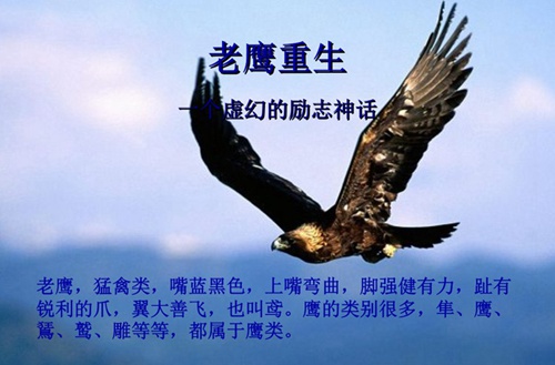 朝陽市衛(wèi)生學(xué)校2025年學(xué)費(fèi)多少？貴嗎？