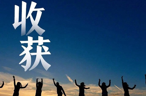 登封中岳少林文武學(xué)校2025年招生要求有哪些