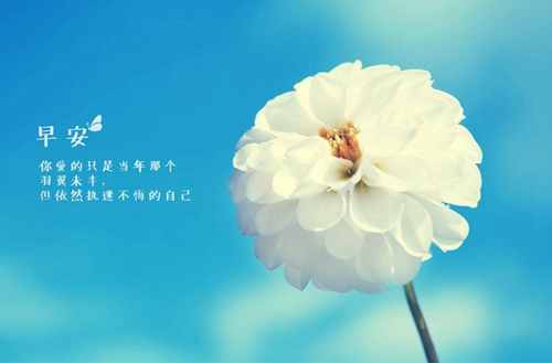 北京自動化工程學(xué)校2024年學(xué)費多少