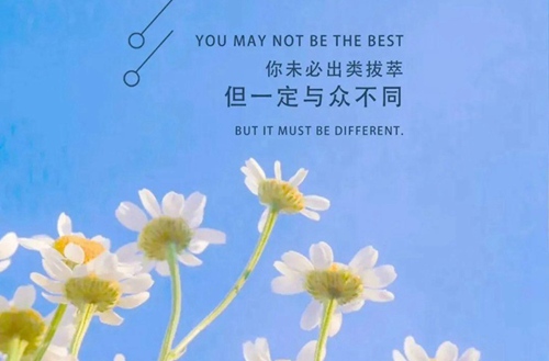 云南中醫(yī)藥中等專業(yè)學校2024年有哪些專業(yè)