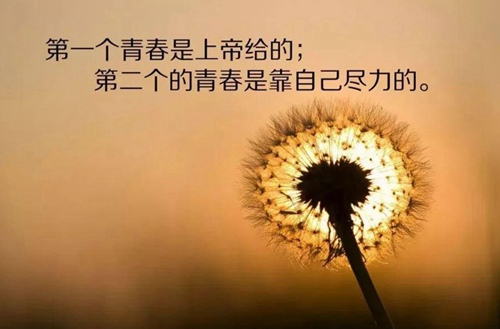 2025重慶江南職業(yè)學(xué)校開設(shè)的專業(yè)一覽表