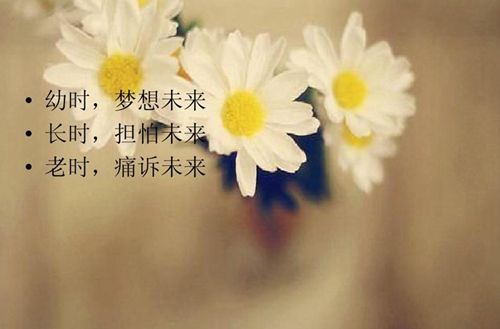 沈陽(yáng)市城市建設(shè)管理學(xué)校詳細(xì)地址