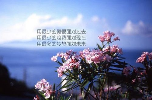 煙臺高級技工學(xué)校2025年招生對象