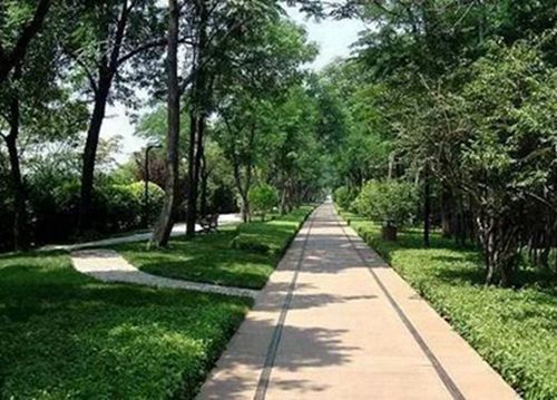 京山市中等職業(yè)技術(shù)學(xué)校2025年招生要求有哪些