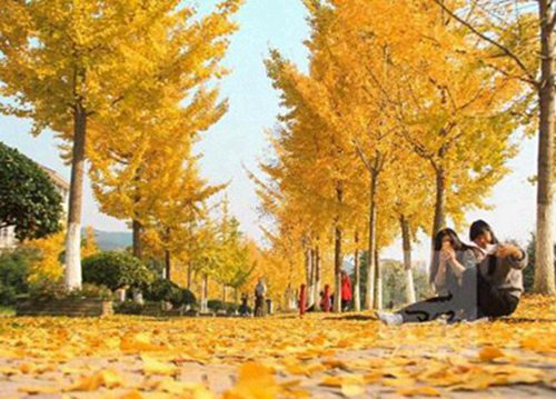 湖北傳媒攝影技師學(xué)院2025年招生要求有哪些