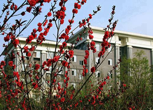 濰坊中專中職學(xué)校排名榜(2024年最新)